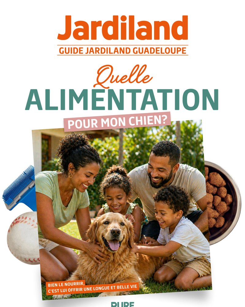 Couverture du guide « Quelle alimentation pour mon chien ? » — Jardiland Guadeloupe