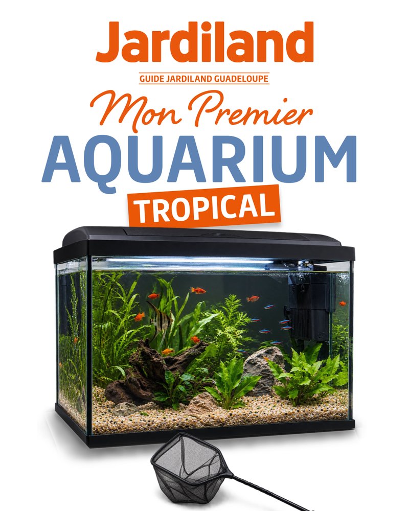 Couverture du guide « Mon premier aquarium tropical » — Jardiland Guadeloupe
