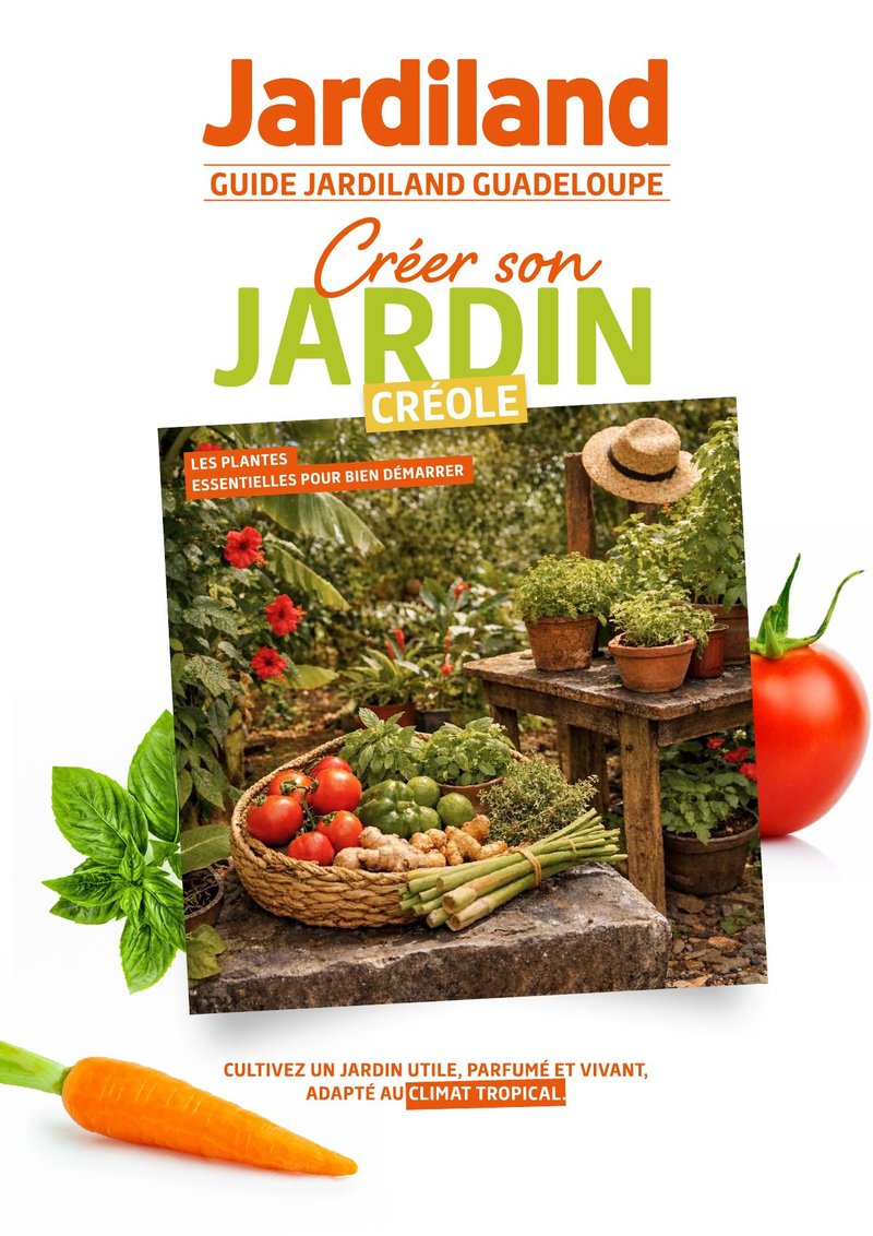 Guide Créer son jardin créole — Jardiland Guadeloupe