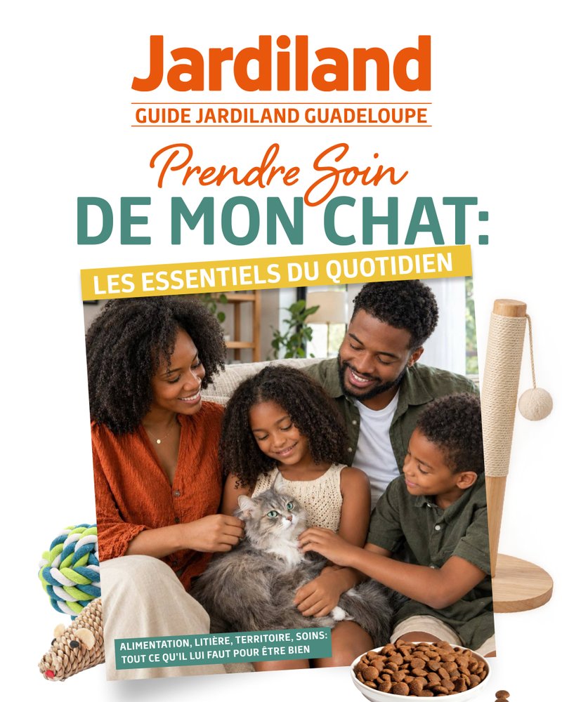 Couverture du guide « Prendre soin de mon chat » — Jardiland Guadeloupe